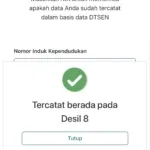 Cara Cek Desil DTSEN Secara Online Menggunakan NIK, Mudah dan Bisa Dilakukan Sendiri
